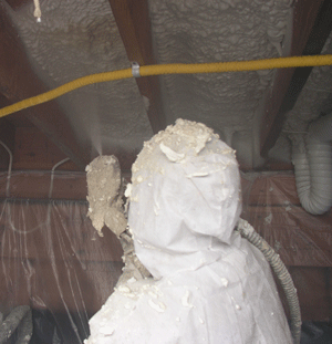 Thunder Bay ON crawl space insulation